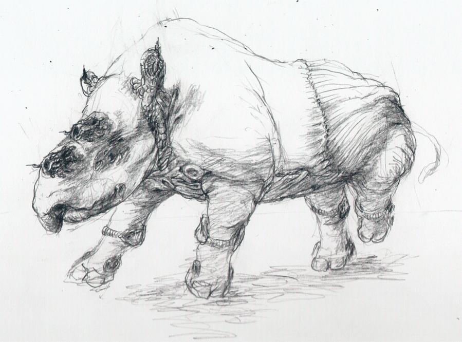 Biomechanical Rhinoceros enhancedrhino